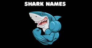 Reveal The Ocean's Monsters: Shark Names You Never Knew!