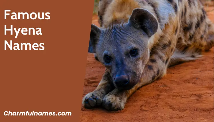 From Jungle Jokes to Fierce Friends: The Best Hyena Names Famous Hyena Names