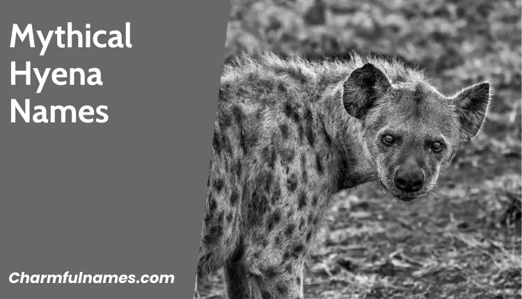From Jungle Jokes to Fierce Friends: The Best Hyena Names Mythical Hyena Names