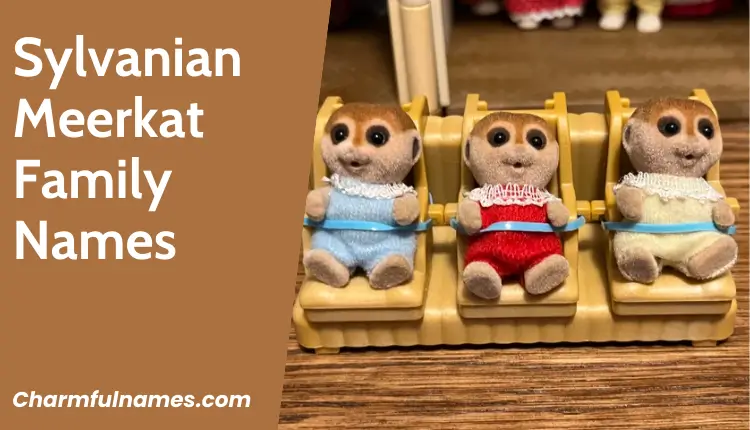 Discover 333+ Adorable and Unique Meerkat Names Today! Sylvanian Meerkat Family Names