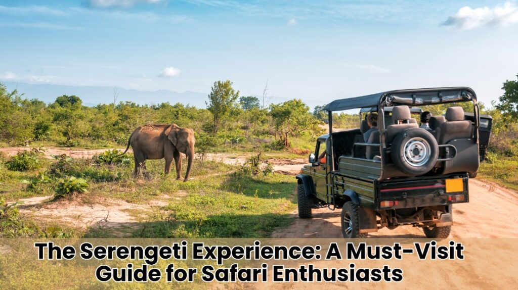 The Serengeti Experience: A Must-Visit Guide for Safari Enthusiasts