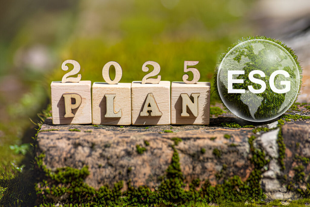 Achieving Net Zero in 2025