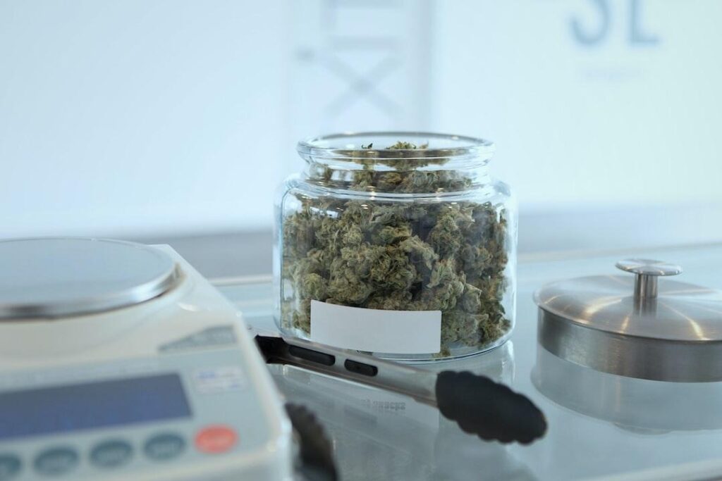 Exclusive Perks You'll Find at Top Cannabis Dispensaries