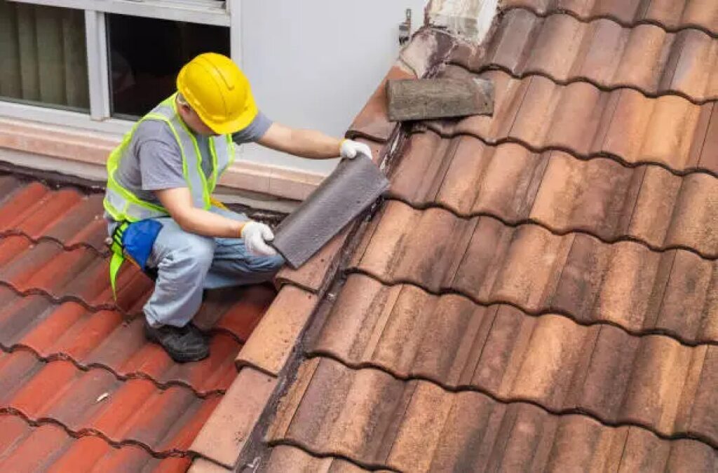 Essential Tips for Shingle Roof Repair and Maintenance