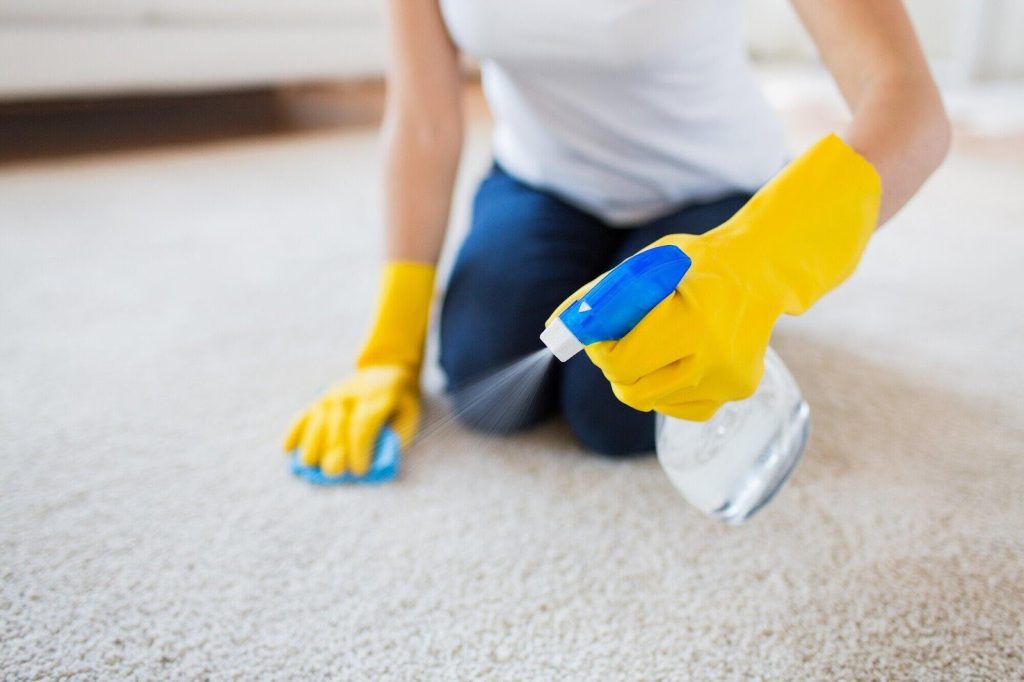 Why Professional Carpet Cleaning Is Essential for a Healthier Home