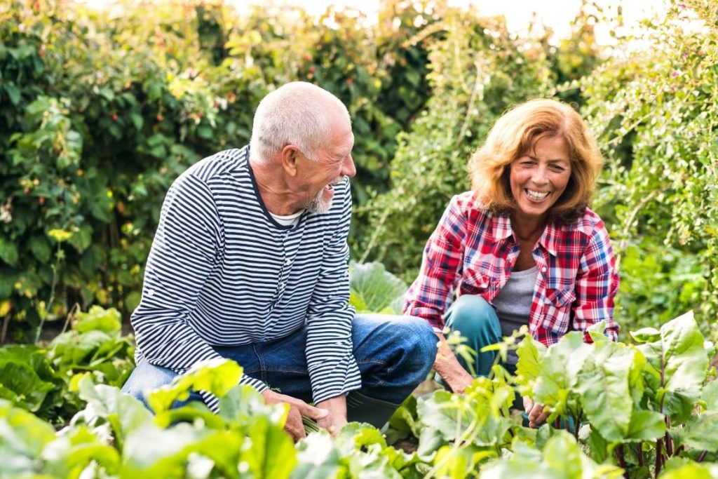 Senior Gardens Boost Health and Happiness