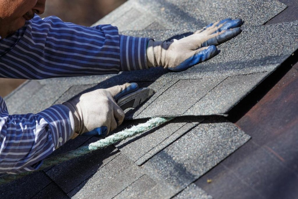 Your Business Roof Spotless