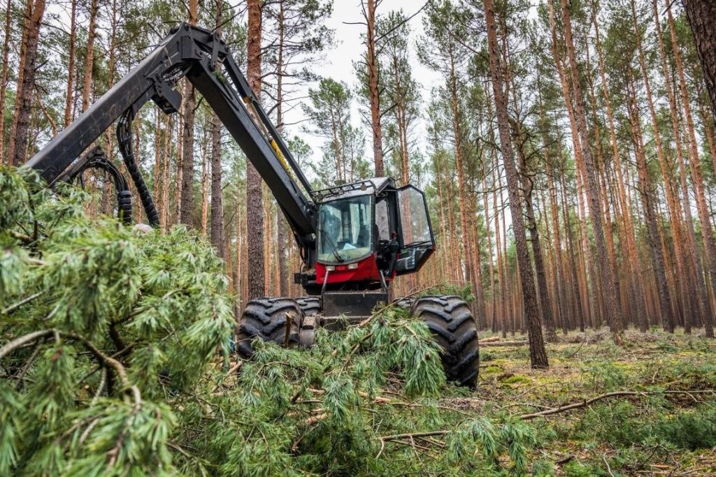 Your Land Clearing Needs
