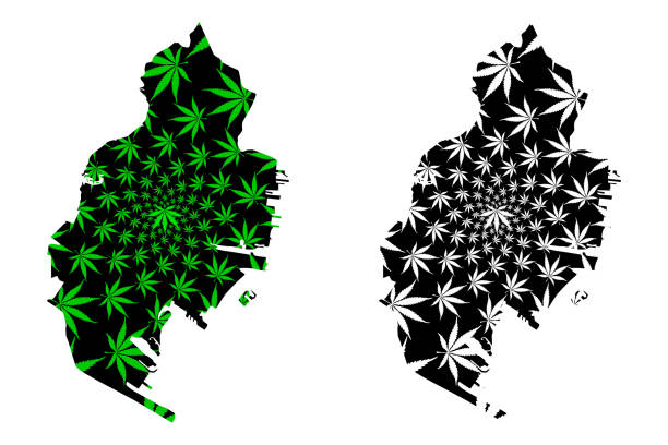 From Taboo to Trend: How New Jersey Became a Cannabis-Friendly State New Jersey Became a Cannabis-Friendly State