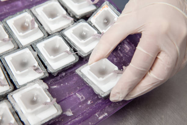 How to Remove Molds Using Silicone Release Agents? Remove Molds Using Silicone Release Agents