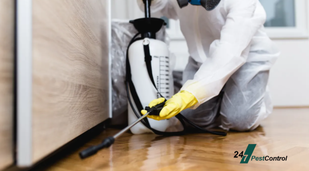 The Cost Of Professional Woodworm Control Vs. Home Repair Woodworm Control Vs. Home Repair
