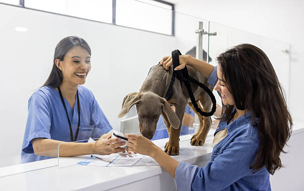 4 Services That Distinguish Animal Hospitals From Small Clinics Distinguish Animal Hospitals
