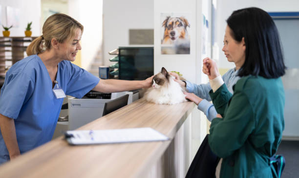 How Veterinary Hospitals Support Long Term Pet Wellness How Veterinary Hospitals Support Long Term Pet Wellness